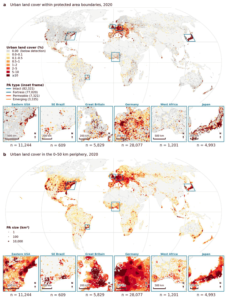 Two world maps showing urban land cover within protected area boundaries and within their 50 km periphery in 2020, with regional insets