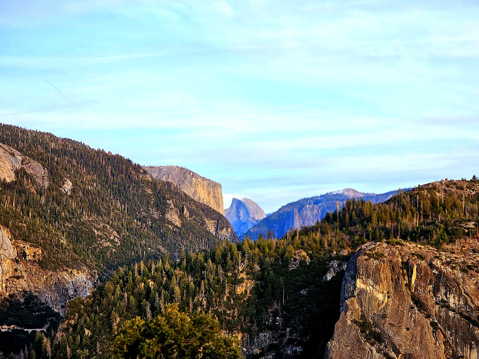 Photograph from California & Nevada
