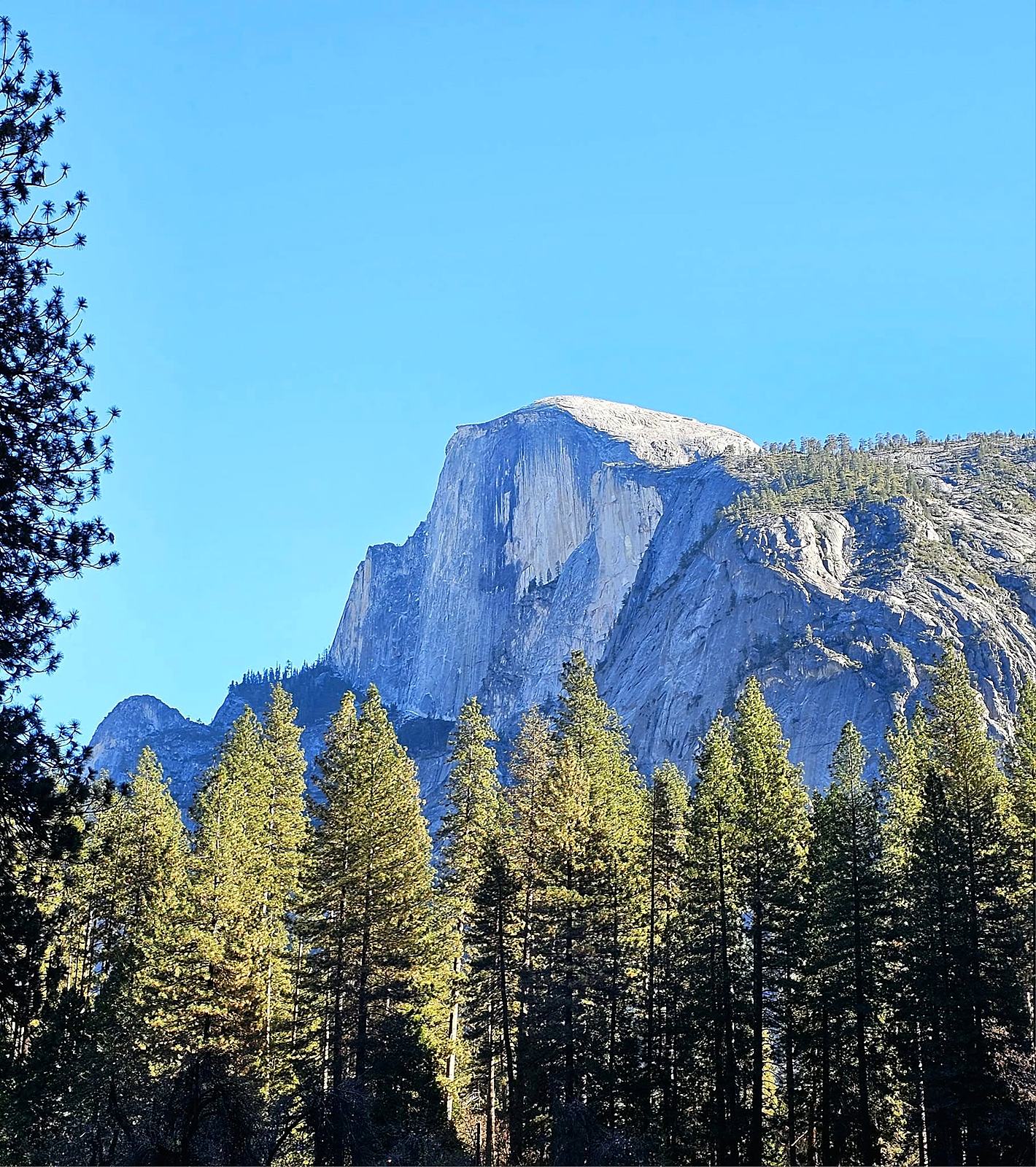 Photograph from California & Nevada