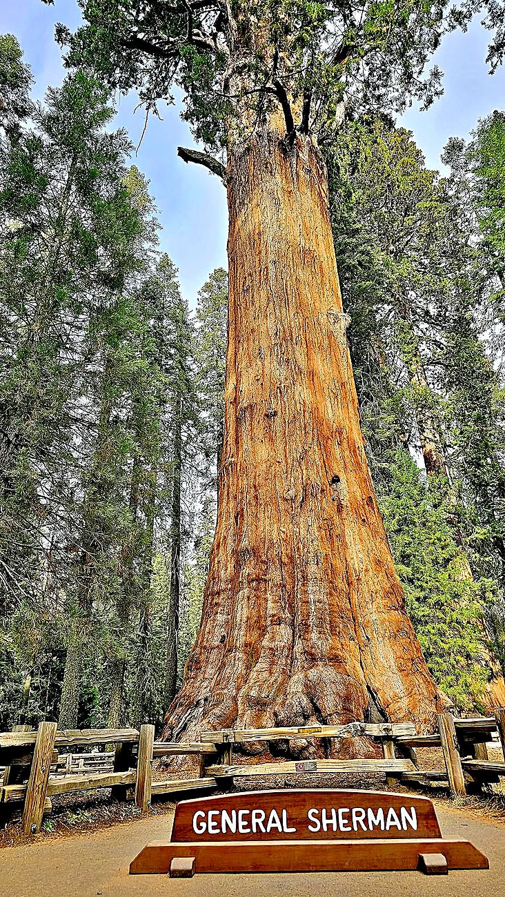 Photograph from California & Nevada