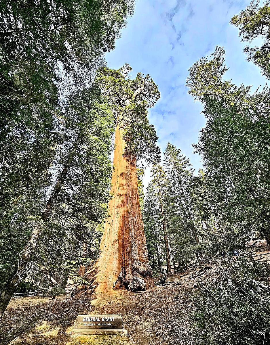 Photograph from California & Nevada