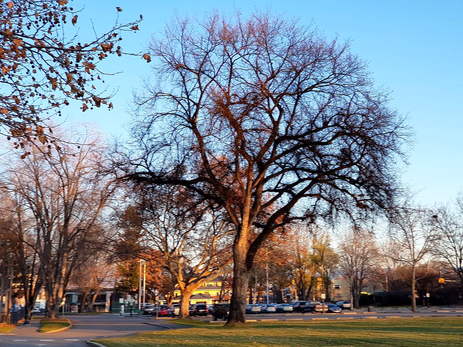 Photograph from Kelowna, British Columbia