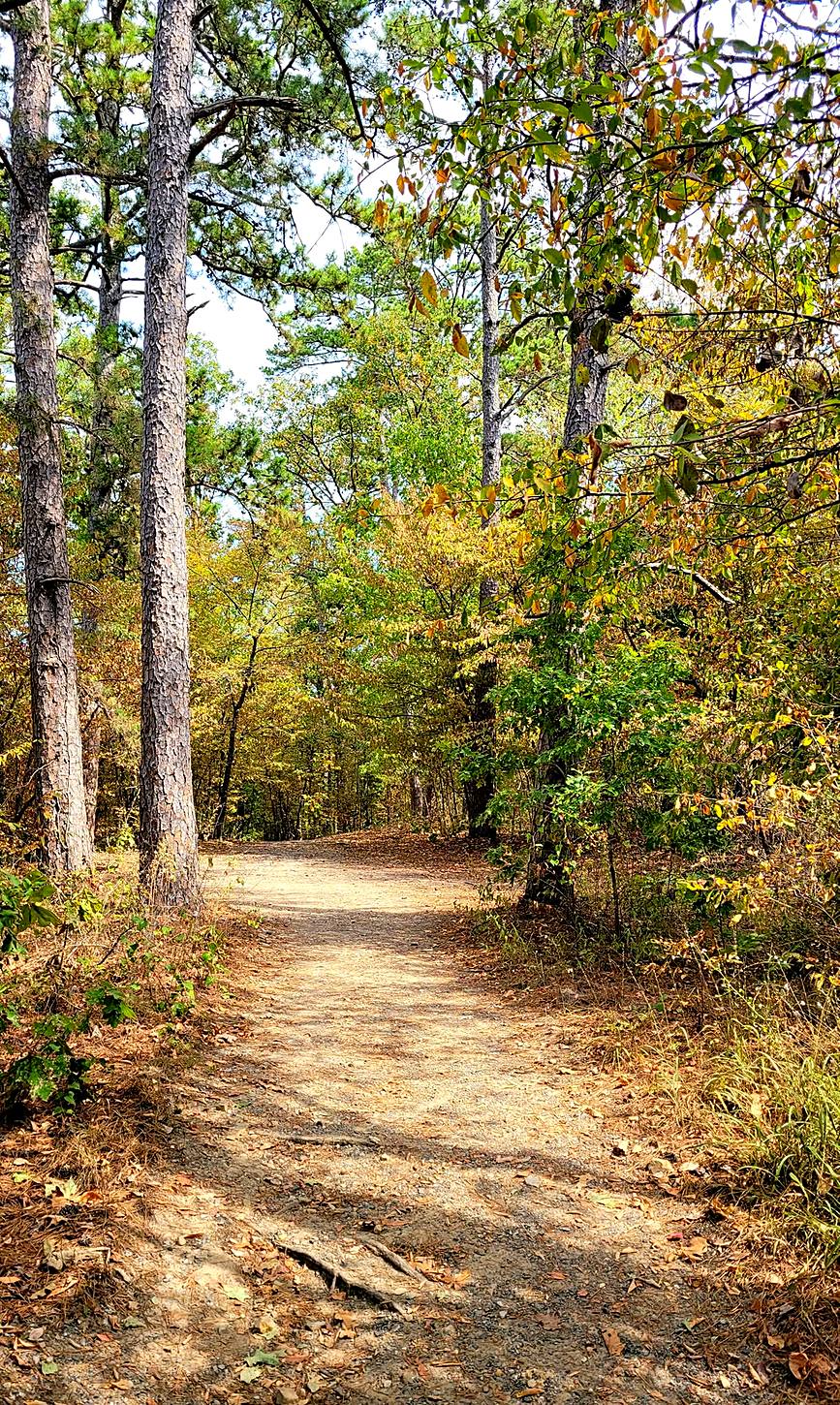 Photograph from Arkansas