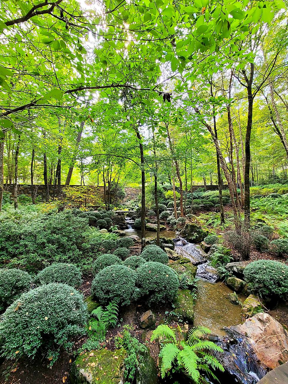Photograph from Arkansas