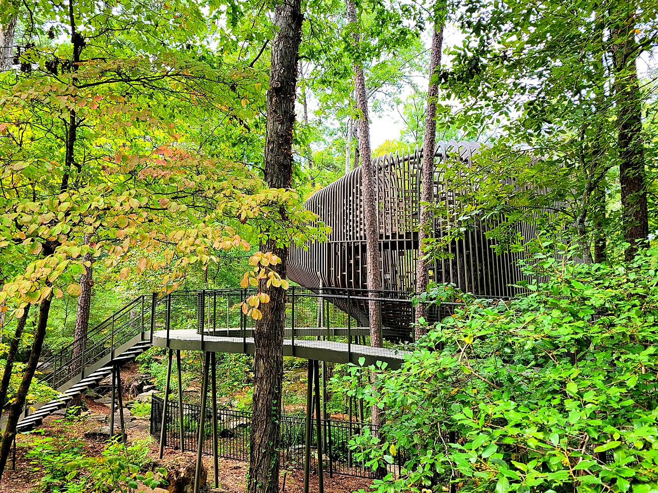 Photograph from Arkansas