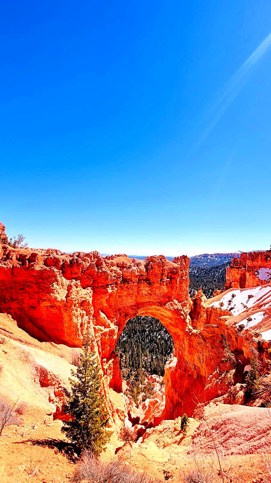 Photograph from Arizona & Utah