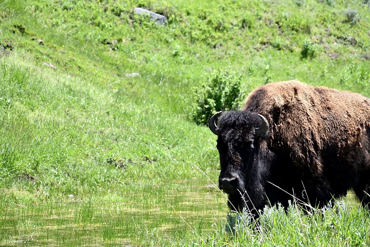 Photograph from Wyoming
